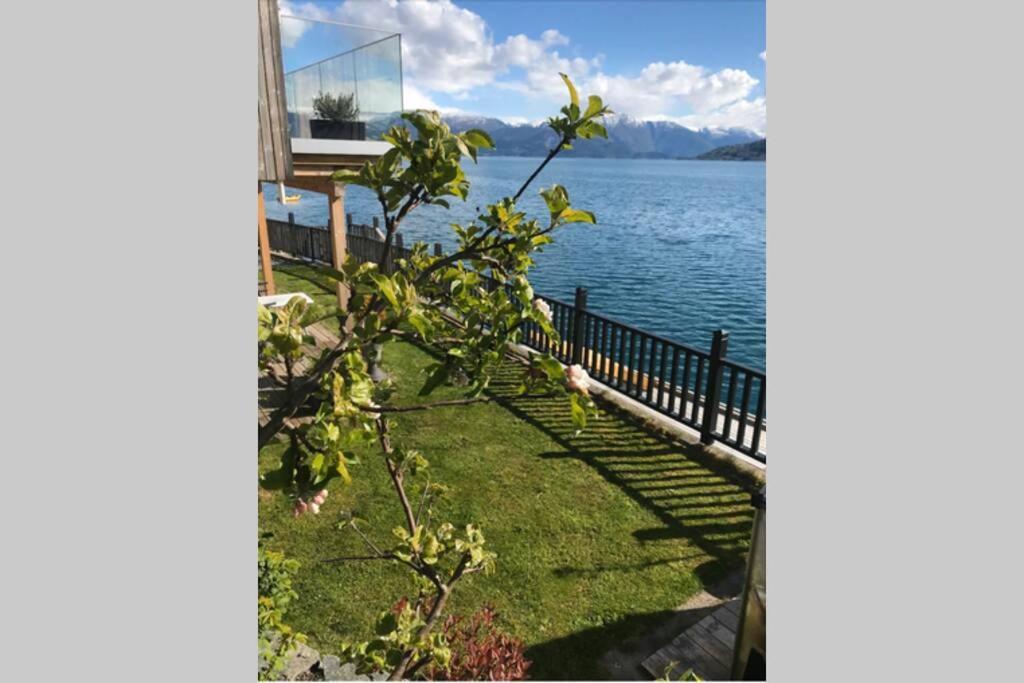 Panoramaresort In Hardangerfjorden Leilighet I Sjokanten Ved Hardangerfjorden For 7 Personer Boat , Sauna,Kajak, Sup For Rent 厄于斯特瑟 外观 照片